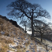 IMG_2451-Edit.jpg