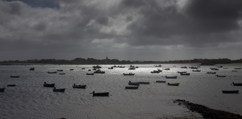 Guernsey-8