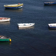 Guernsey-2.jpg