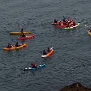 Guernsey-5.jpg
