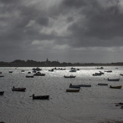 Guernsey-8.jpg