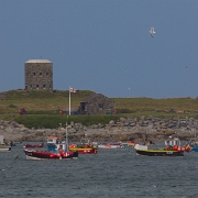 Guernsey-9.jpg