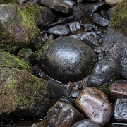 _MG_8703.jpg