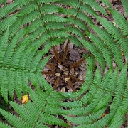 _MG_8711.jpg