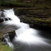 _MG_8746.jpg
